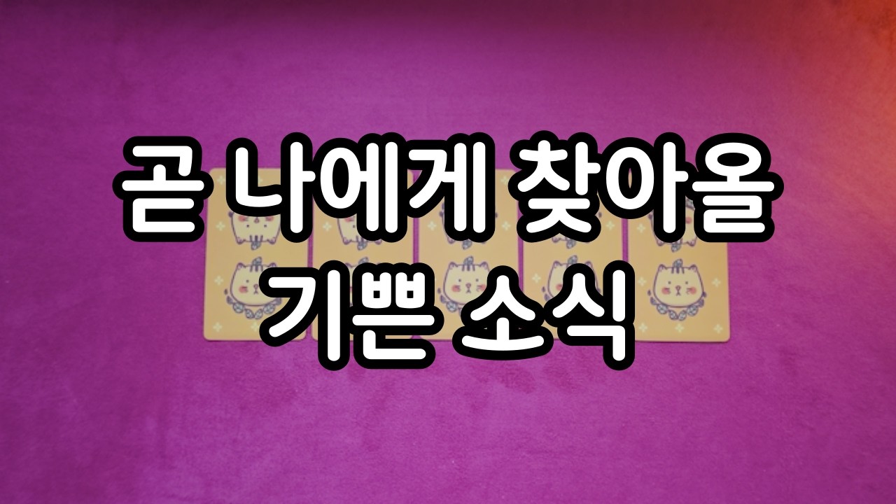 [타로] 앞으로 나에게 찾아올 기쁜 소식 / 종합운세