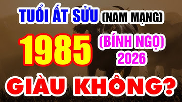 Tử Vi Tuổi Ất Sửu 1985 Nam Mạng Trong Năm Bính Ngọ 2026