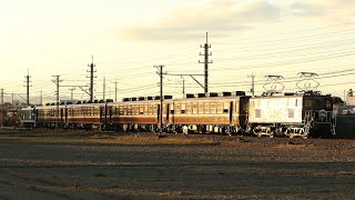 秩父鉄道 デキ105+12系4両+デキ501 快速EL新春みつみね 明戸～大麻生通過