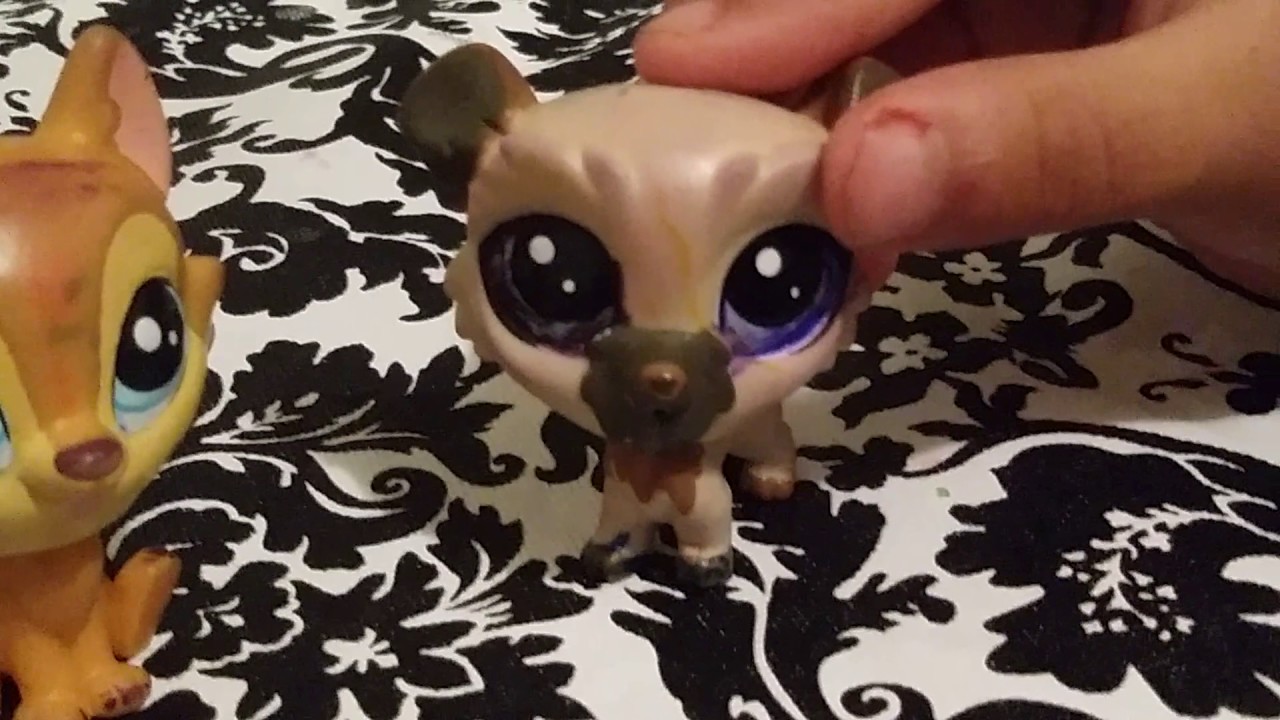 Look I'm making a more my little pet shop YouTube