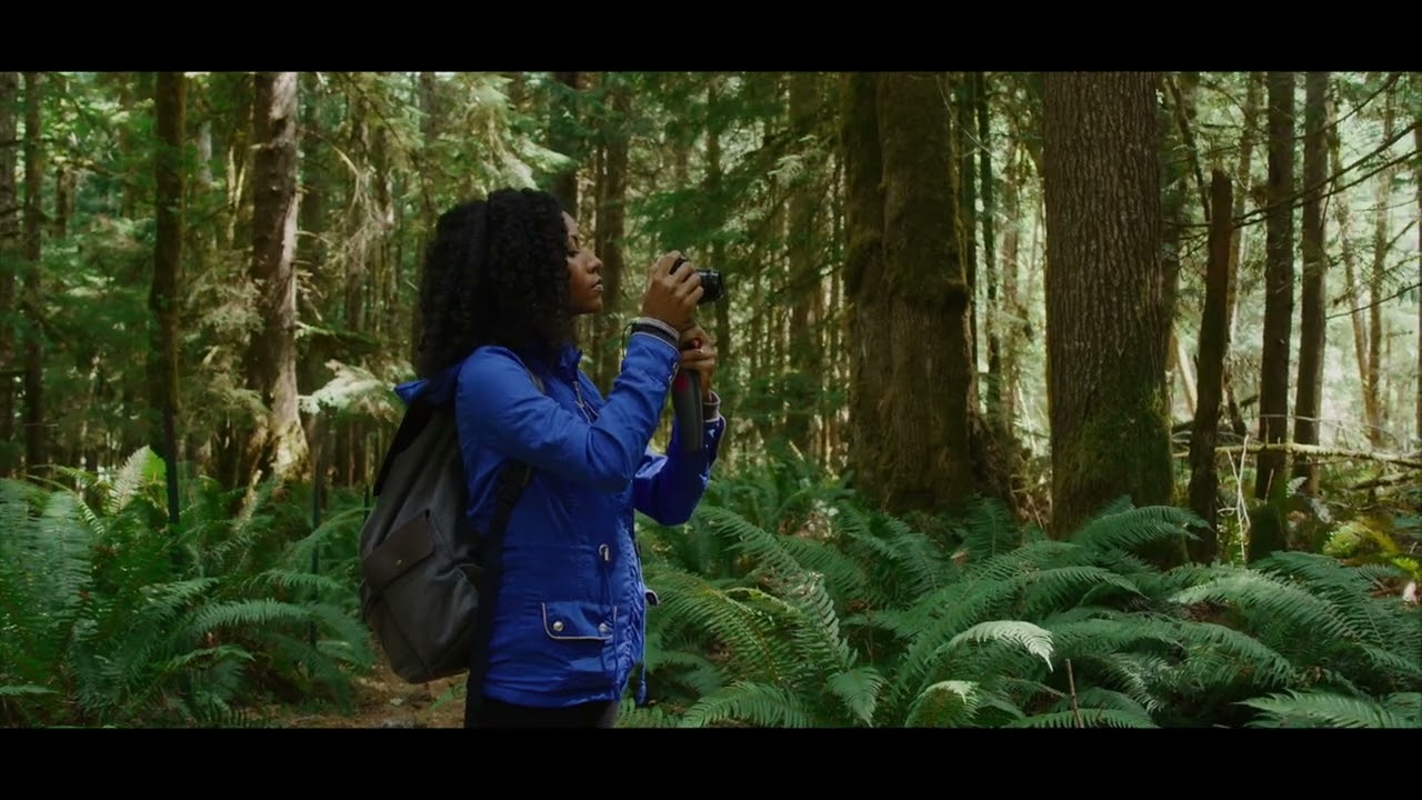 A WALK IN THE FOREST 4K | SHOT ON RED KOMODO