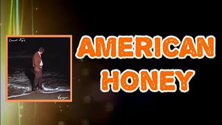 Current Joys - American Honey (Lyrics)