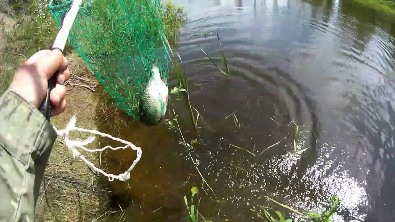 Эксперимент, как поймать крупную рыбу на боковой кивок.