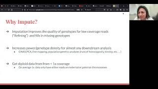 Building an imputation pipeline for low coverage ancient genomes
