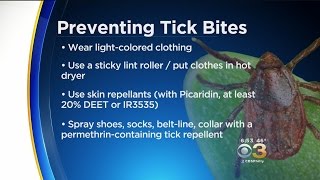 Dr. Rob Danoff: Preventing Tick Bites