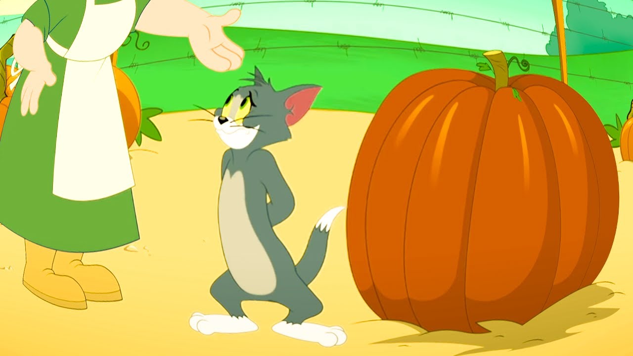 Tom & Jerry Picture Perfect Pumpkin Tom and jerry cartoon videos