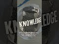 The Library That Tried to Hold All Knowledge