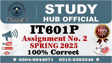 IT601P Assignment 2 solution Spring 2025, IT601P Assignment 2 solution 2025, IT601P Assignment