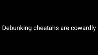 Debunking Cheetah Are Cowardly