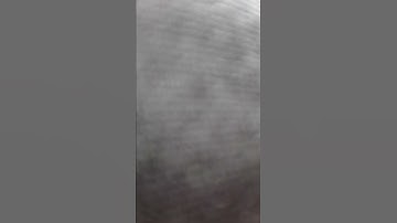 المقرئ المجهول / سورة الكوثر / رواية ورش عن نافع