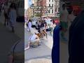 Have You Been To New York Buddytherat Funny Have You Been To New York Buddytherat Funny