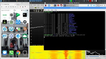 Hijack radio frequency with raspberry pi and the wire