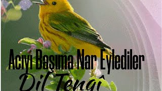 Dil Tengî ✓Acıyı Başıma Nar Eylediler