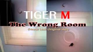 TIGER M - The Wrong Room (Never Lost Version)