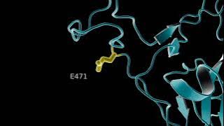 Virus that causes COVID-19 is widespread in wildlife, scientists find
