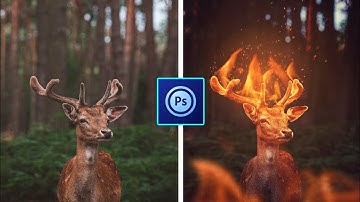 PS Touch Tutorial - FIRE Deer Effect on ps touch/android