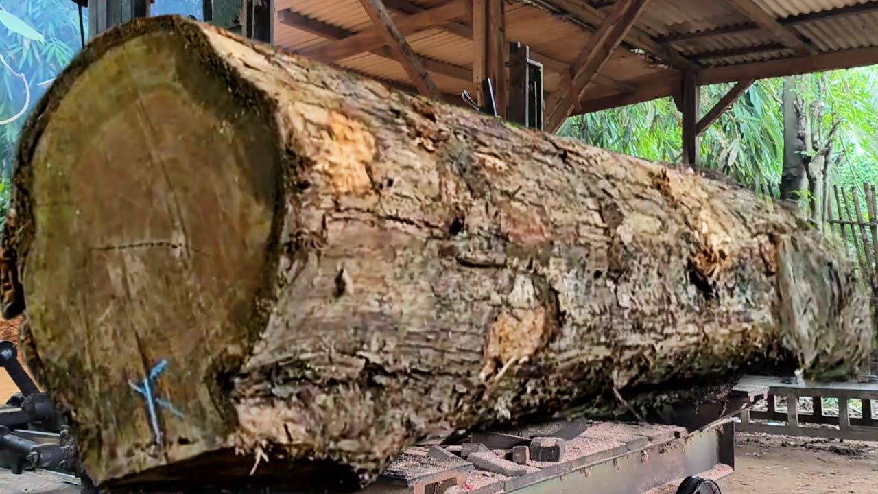 The fast process of chopping old teak logs into full-fiber frame beams ...