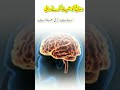 Dimagh Ko Tabah Karne Wali 7 Adatein 7 Habits Destroy Brain Wazifa Shorts Bikhraymoti 