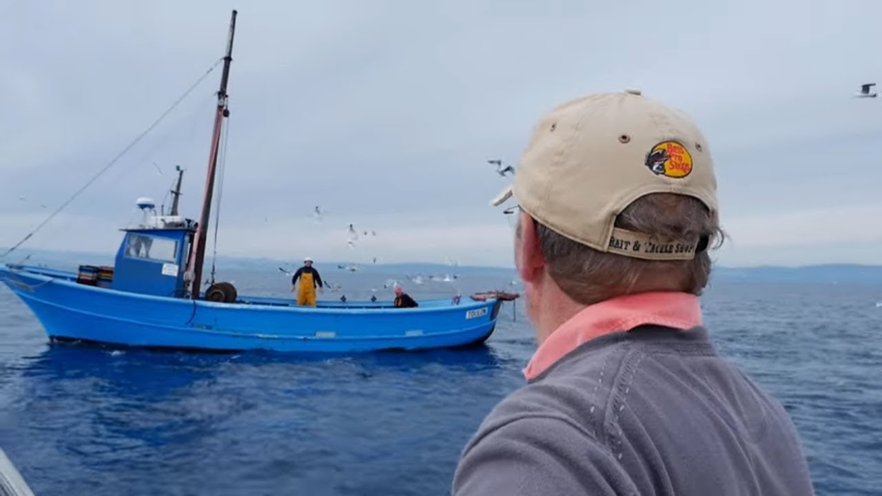 Secrets de pêcheurs à Porquerolles YouTube