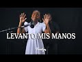 Levanto mis manos  frailyn cover