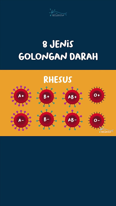 8 Types of Blood Types
