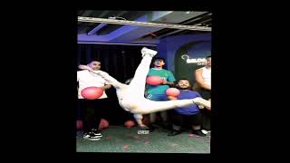 Karanlıktan Korkmaz Oldum