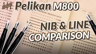 Pelikan M800 Nib & Line Comparison