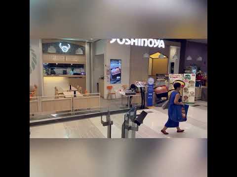 Century The Movie