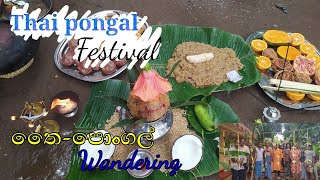 Thai pongal festival - kamal appa vidu,jaffna