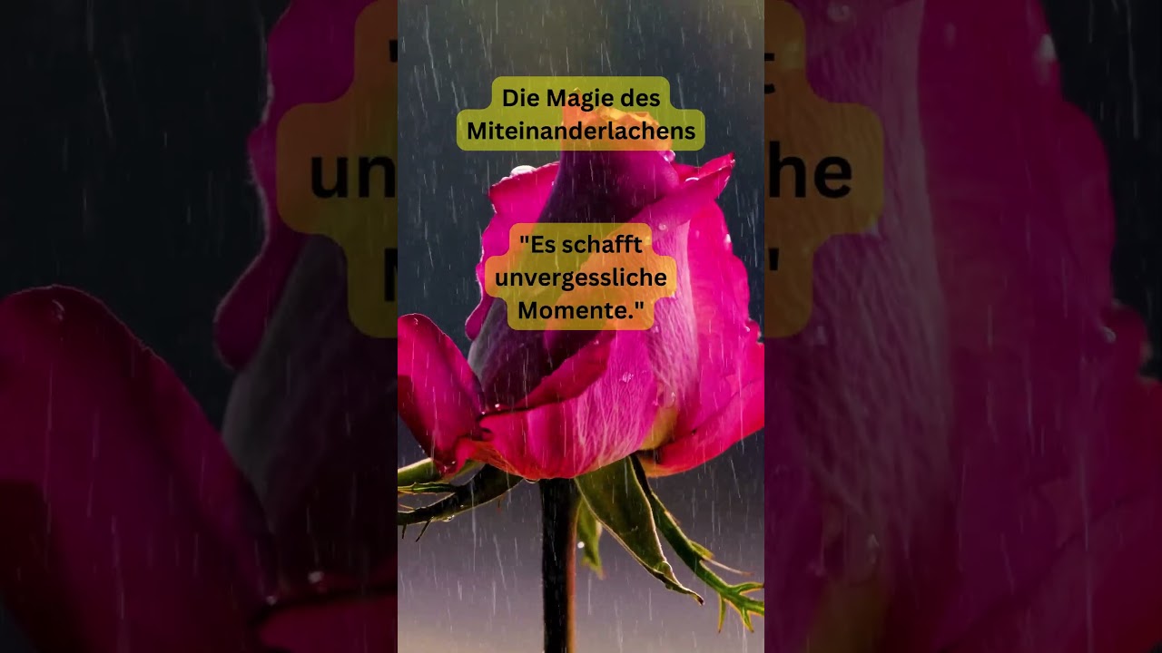 Die Magie des Miteinanderlachens – Freude, die verbindet