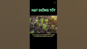 Bài học ý nghĩa từ câu chuyện "Hạt giống tốt" - Thaki English For  Teen