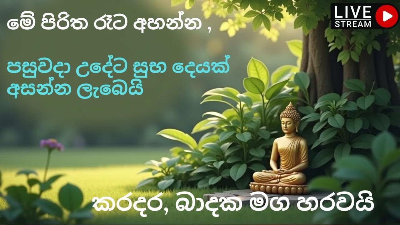 🕯️ Pirith Live Now | පිරිත සජීවීව දැන් | Buddhist Chanting Live for Blessings, Peace & Protection