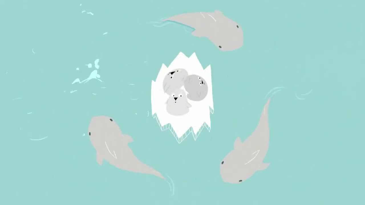 Oreo Vampire To Great White Shark, With Golden Oreo