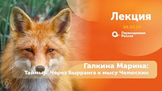 Галкина Марина: Таймыр. Через Бырранга к мысу Челюскин