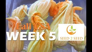 SEED2SEED FALL 2019 CSA Week 5