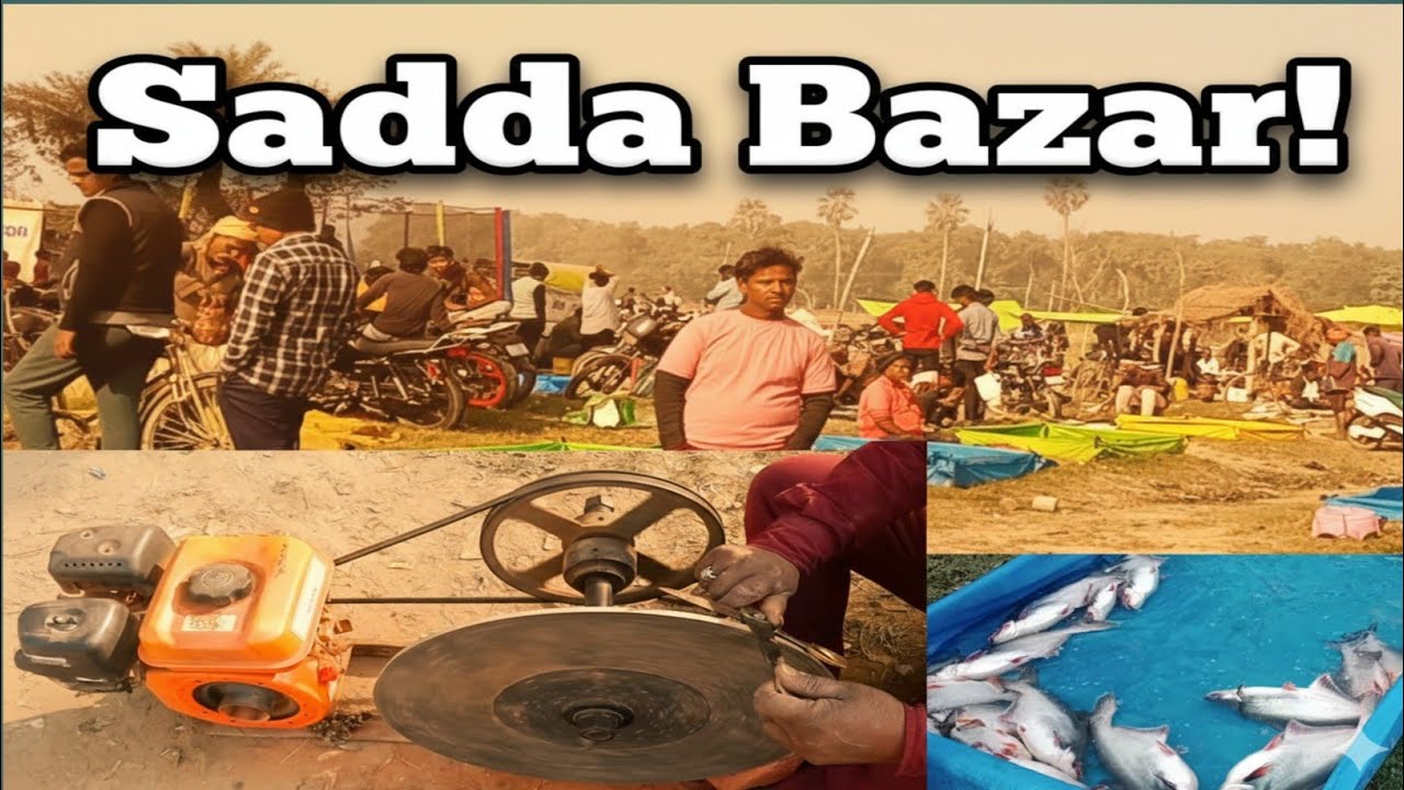 Machhli Mandi ka Safar | Aaj kaun si fish kharidi?