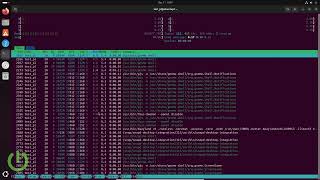 Linux에서 프로세스 모니터링(htop, top, ps, nvidia-smi 사용법)