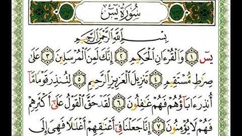 036 - سورة يس - شيرزاد عبد الرحمن طاهر(360P)_1