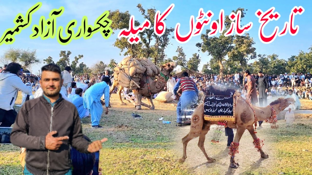 salaana-camel-s-mela-chakswari-azad-kashmir-youtube