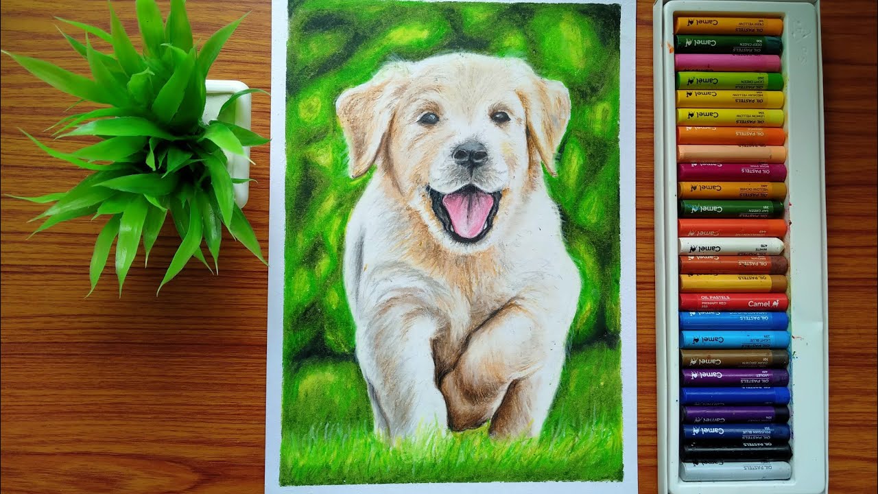 How to draw a Puppy Dog with oil pastel colours YouTube