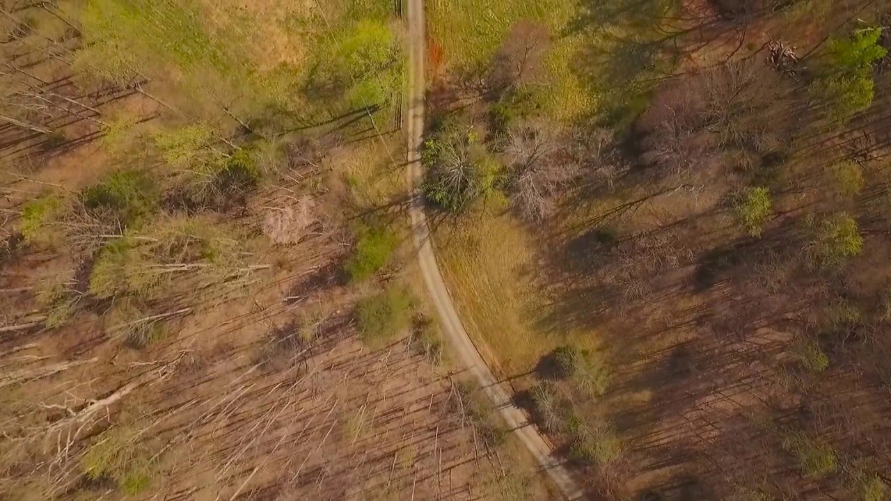 Deer Ridge 218 ac  Albemarle Co  VA