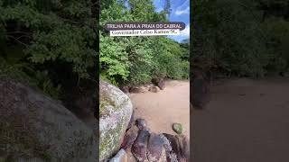 Trilha da Praia do Cabral 🇵🇹 Governador Celso Ramos