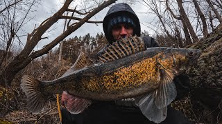 видео: КРИГА ЗІЙШЛА, І СУДАКИ ПОЧАЛИ КЛЮВАТИ! Crazy Fish Arion 862MLS в роботі! картинка: КРИГА ЗІЙШЛА, І СУДАКИ ПОЧАЛИ КЛЮВАТИ! Crazy Fish Arion 862MLS в роботі!
