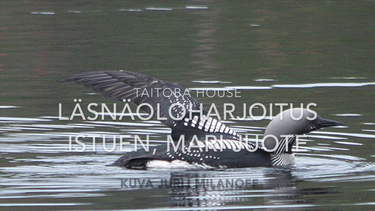 Läsnäoloharjoitus istuen, 18 min