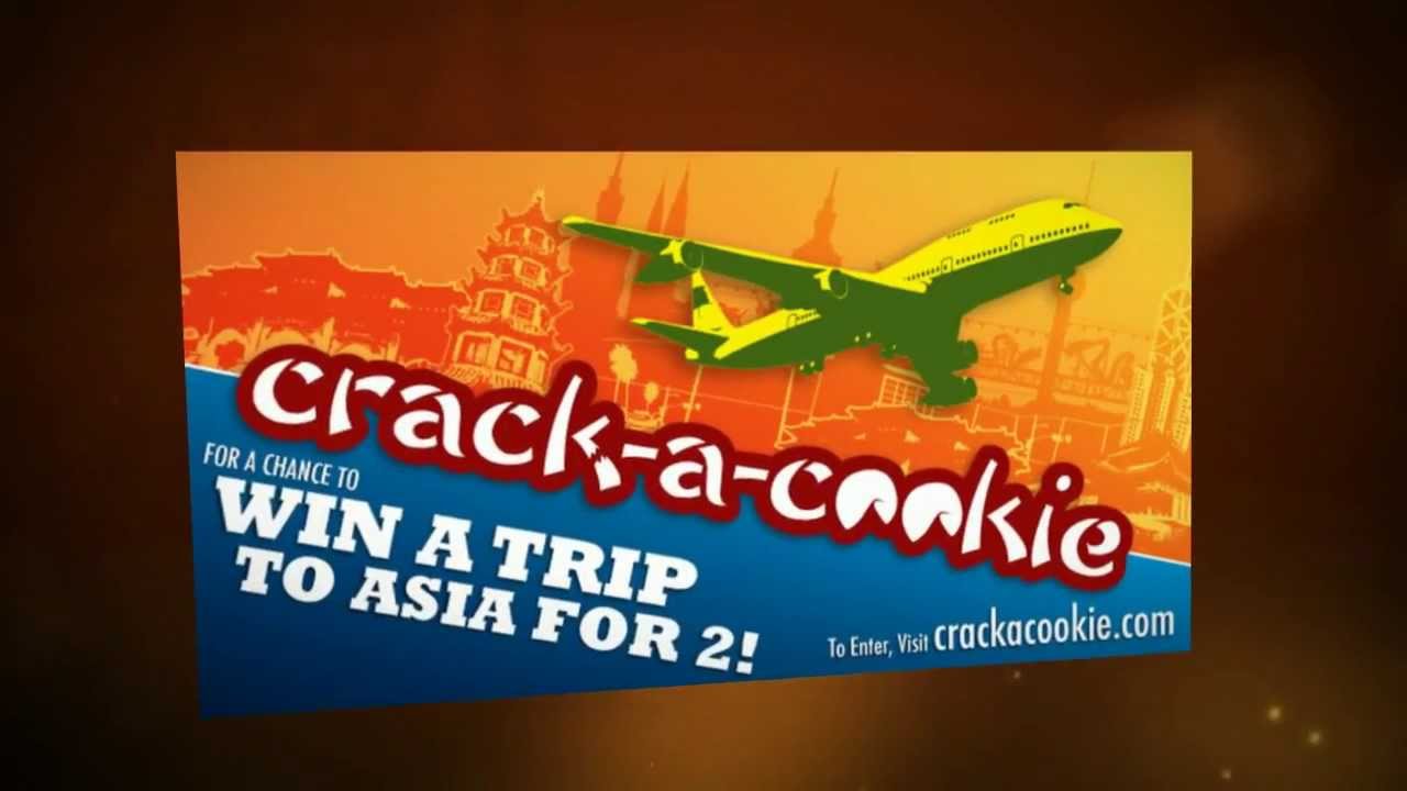 Wok Box Franchise Information Presentation