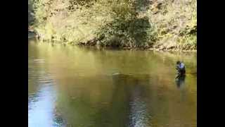 Cherokee N.C. trout fishing How not to net a trout 10-4-12.AVI