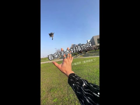 Flying Pets Sugar Bag Glider Little Flying Mouse Pets In Their Cute Phase Flapjack Hand Moves Ar