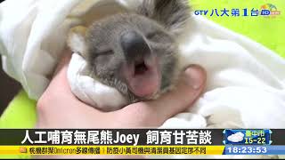 動物園迎虎年 「保母講古」登場 #八大民生新聞 2022010705