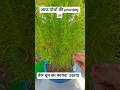 तेज धूप का फायदा उठाया 🥰रुके काम पुरे किये #housewife#minivlog#lifestlye #❤️