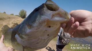 DsBassBite Rancho Murieta #2 My PB